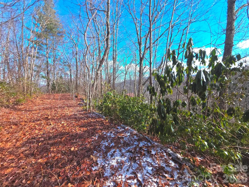 550 Sky Drive #12A Maggie Valley, NC 28751
