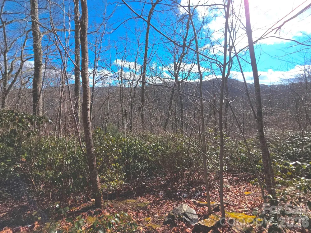 550 Sky Drive #12A Maggie Valley, NC 28751