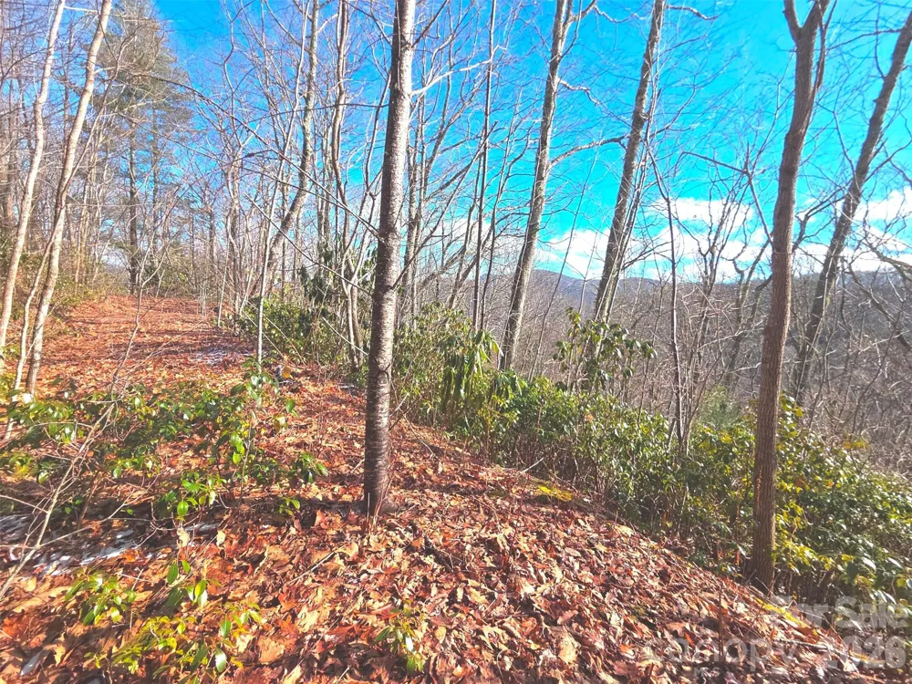 550 Sky Drive #12A Maggie Valley, NC 28751