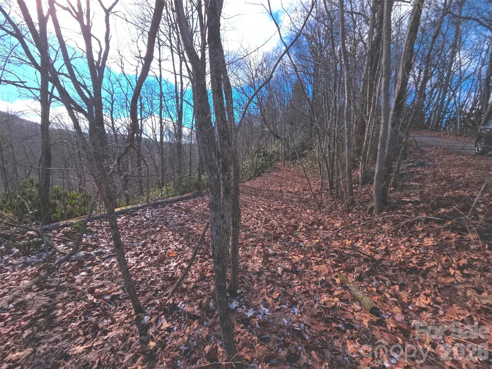 550 Sky Drive #12A Maggie Valley, NC 28751