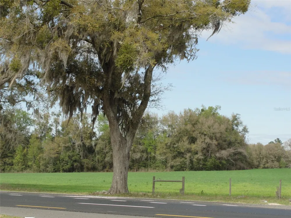 TBD HIGHWAY 441 Alachua, FL 32615
