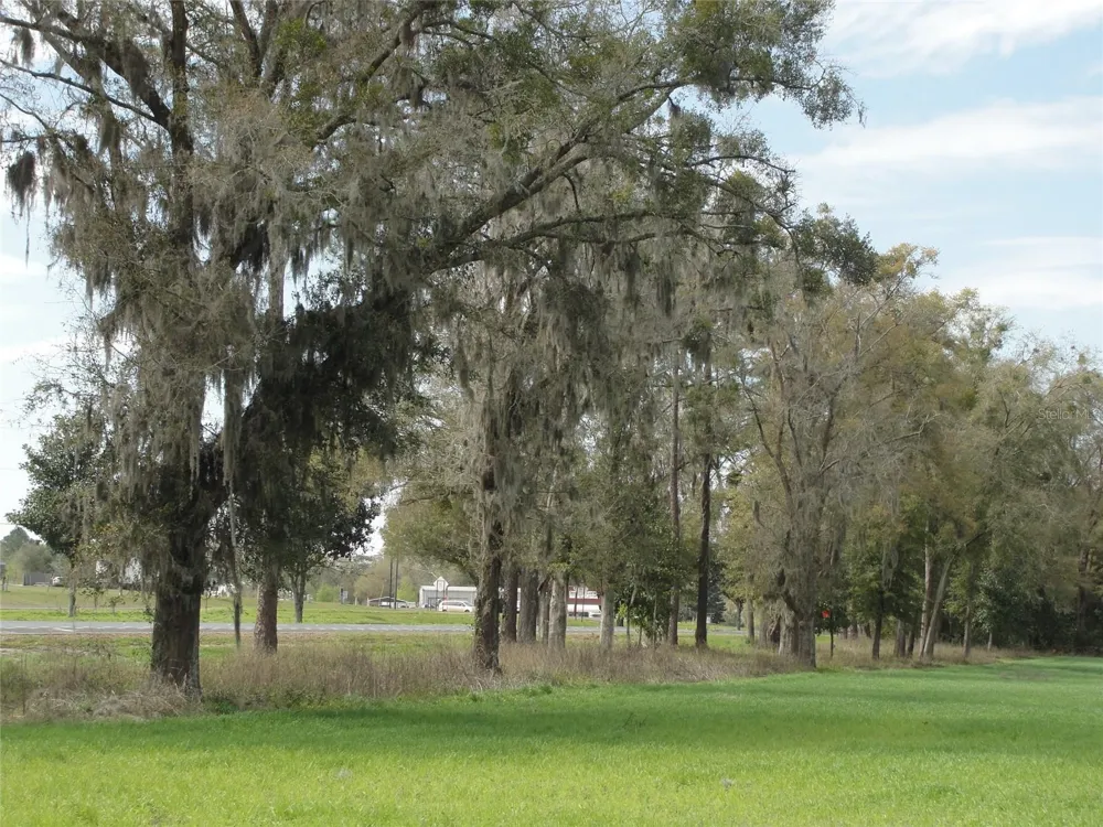 TBD HIGHWAY 441 Alachua, FL 32615