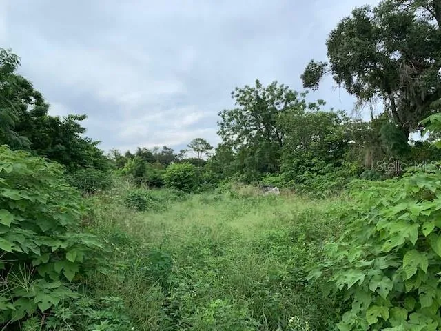 2607 E SEMORAN BOULEVARD Apopka, FL 32703
