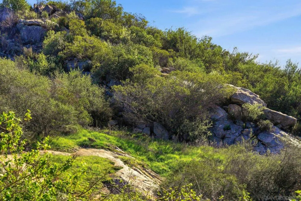 Mussey Grade Rd Ramona, CA 92065