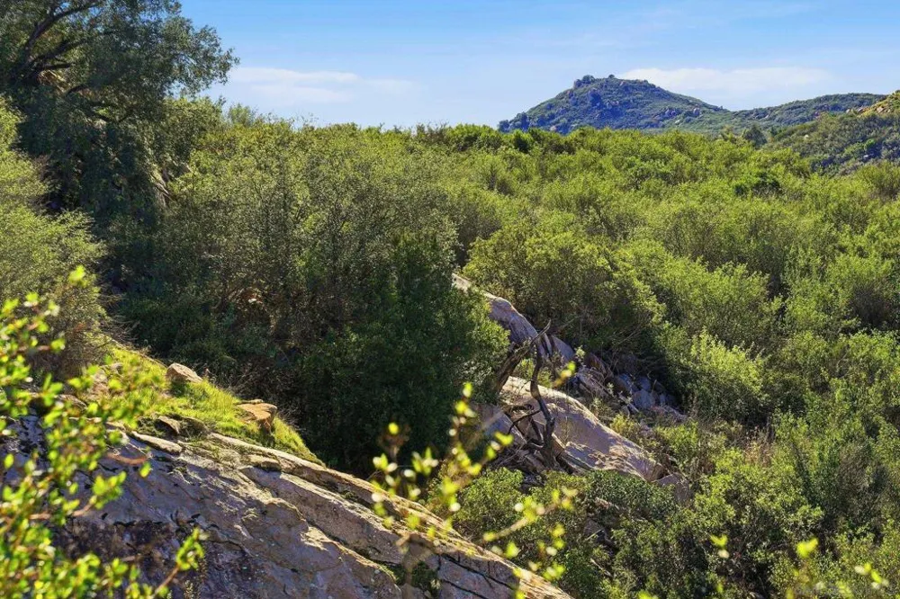 Mussey Grade Rd Ramona, CA 92065