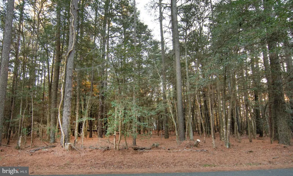 CASTAWAY DRIVE Greenbackville, VA 23356