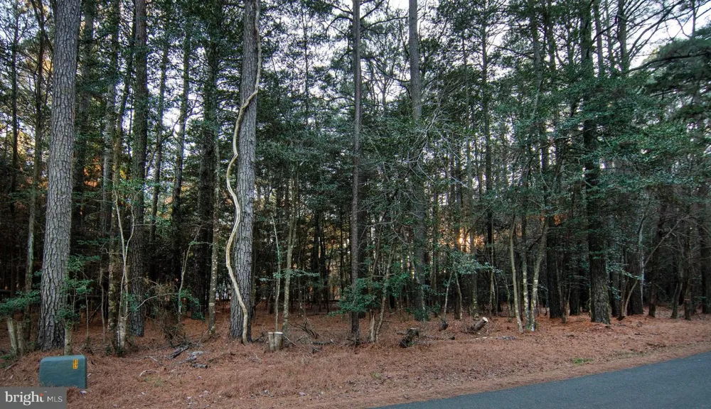 CASTAWAY DRIVE Greenbackville, VA 23356
