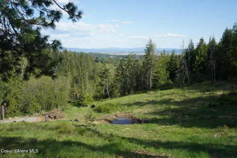 NNA W Biggs Rd. Lot 1