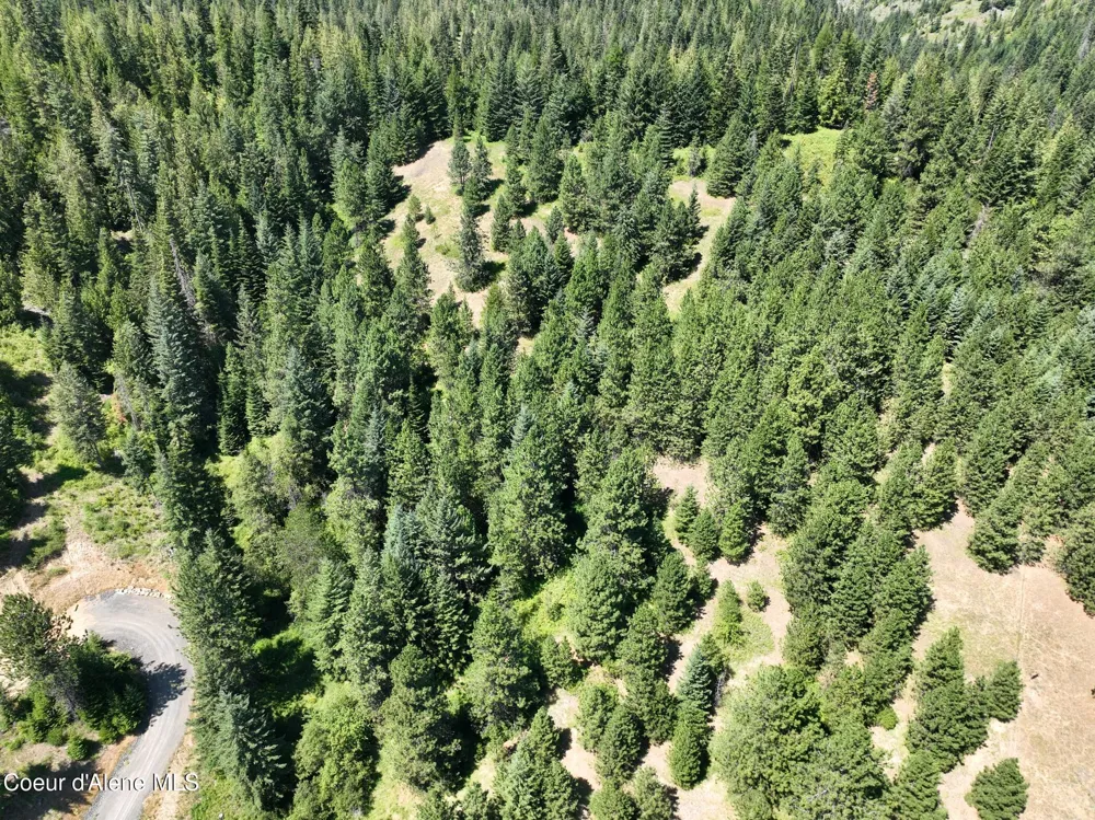 NNA W Biggs Rd. Lot 1 Rathdrum, ID 83858