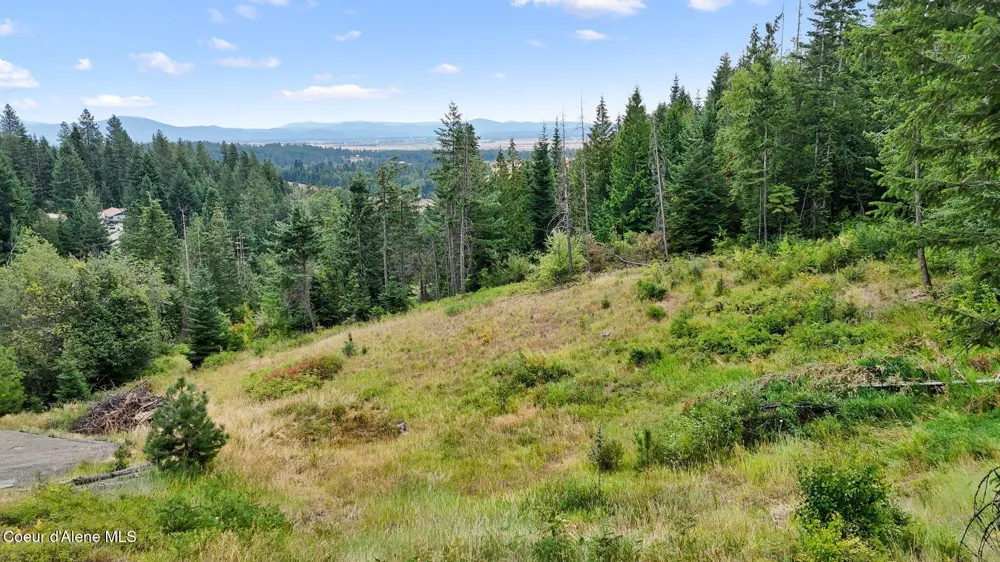 NNA W Biggs Rd. Lot 1 Rathdrum, ID 83858