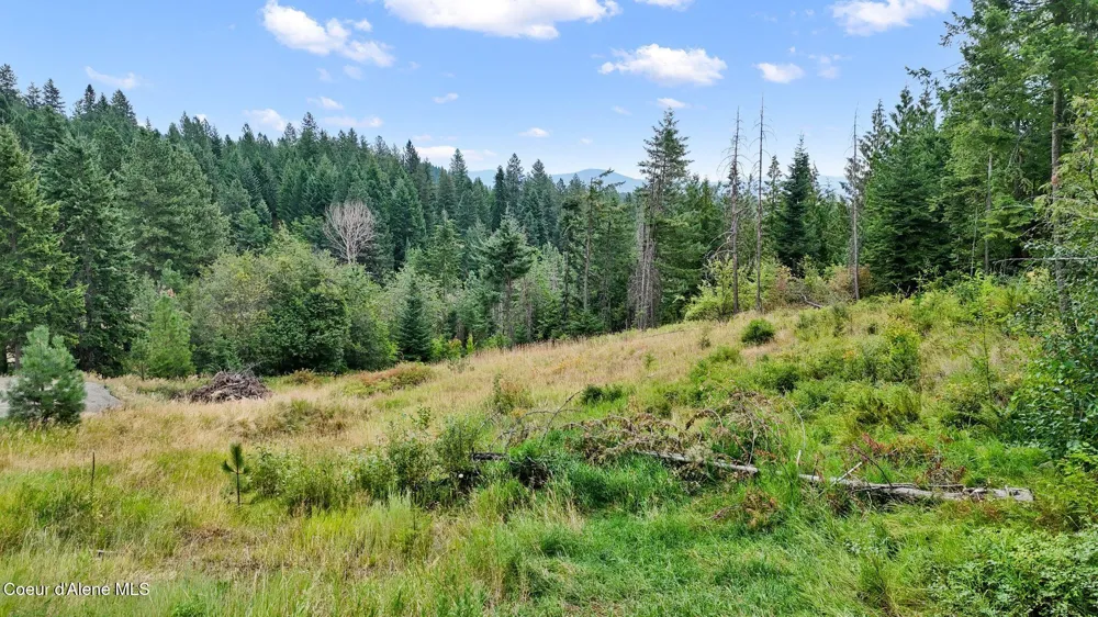NNA W Biggs Rd. Lot 1 Rathdrum, ID 83858