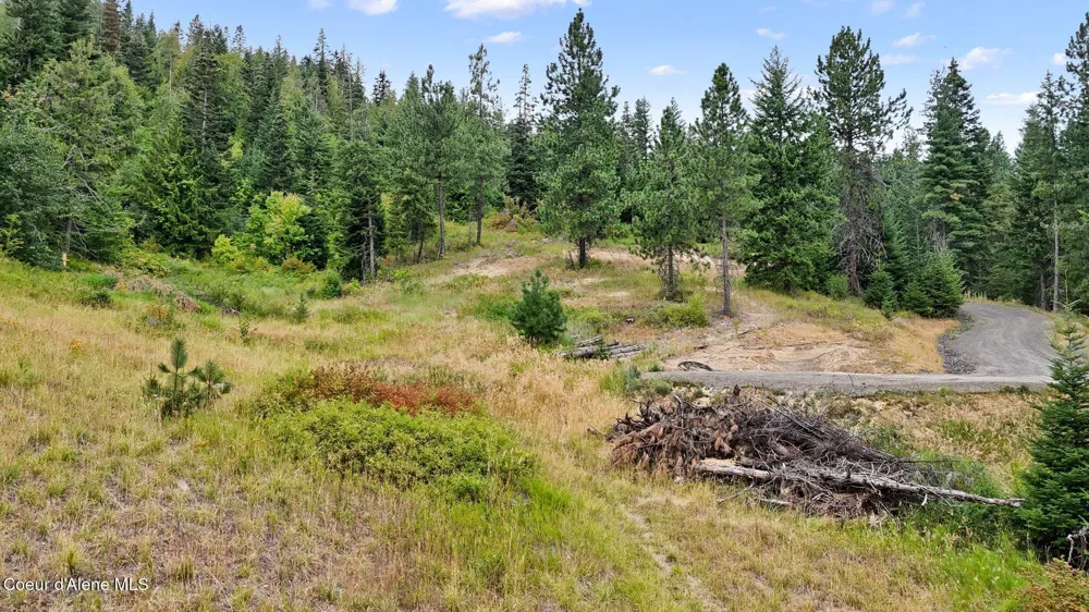 NNA W Biggs Rd. Lot 1 Rathdrum, ID 83858