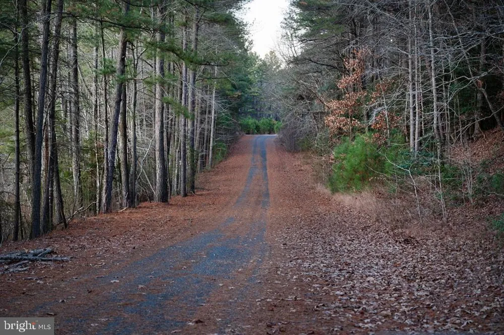 CAPTAINS CORRIDOR Greenbackville, VA 23356