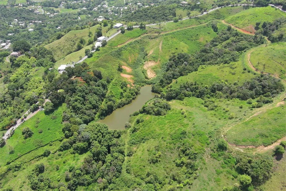 FINCA MORALES BO. BARRAZAS Carolina, PR 00987
