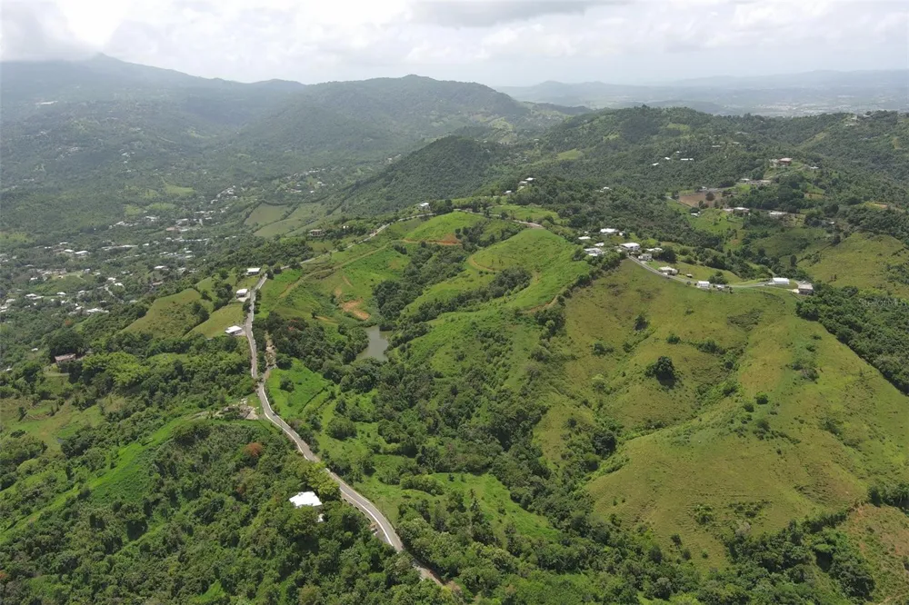 FINCA MORALES BO. BARRAZAS Carolina, PR 00987
