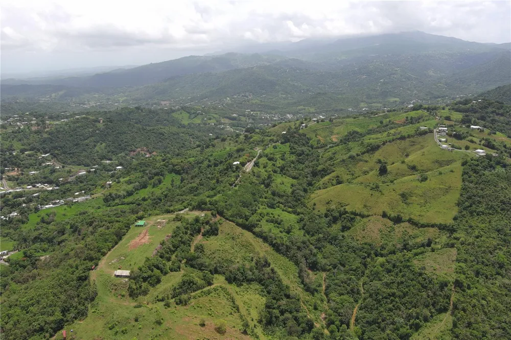 FINCA MORALES BO. BARRAZAS Carolina, PR 00987