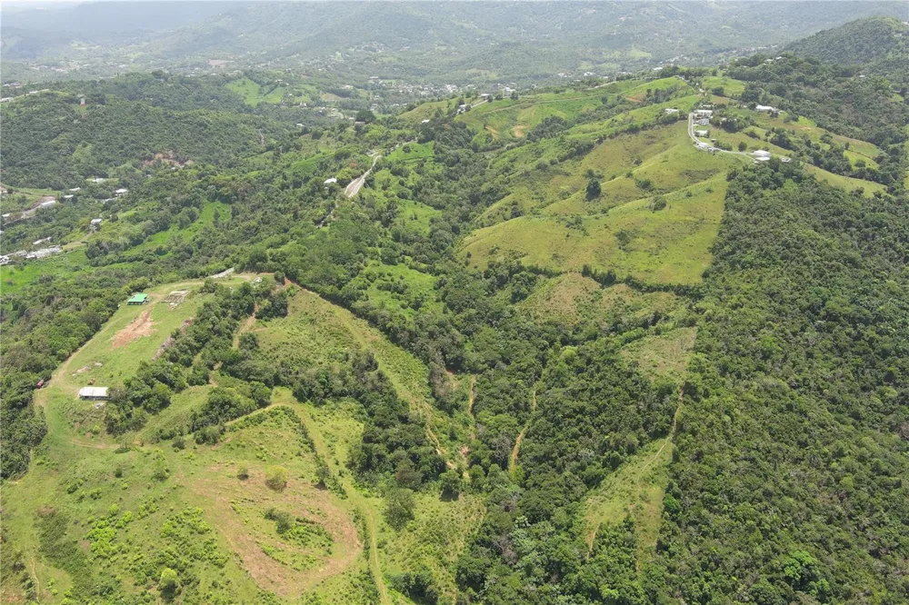 FINCA MORALES BO. BARRAZAS Carolina, PR 00987