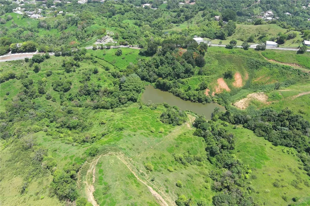 FINCA MORALES BO. BARRAZAS Carolina, PR 00987