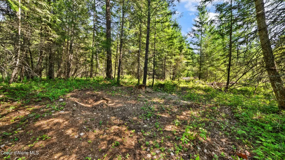 NNA Sunsetter Lane Lot 1 Cocolalla, ID 83813