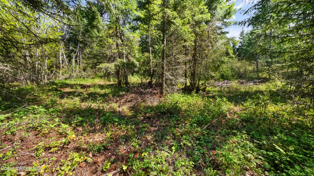 NNA Sunsetter Lane Lot 1 Cocolalla, ID 83813