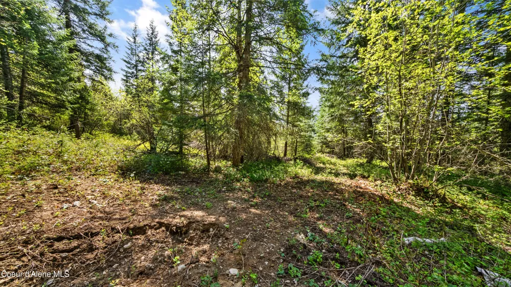 NNA Sunsetter Lane Lot 1 Cocolalla, ID 83813