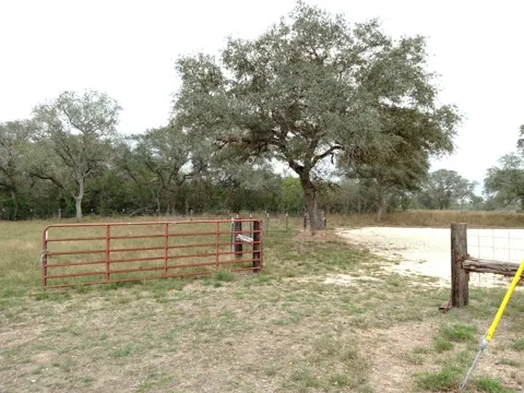 251 Lefty Lane Lane