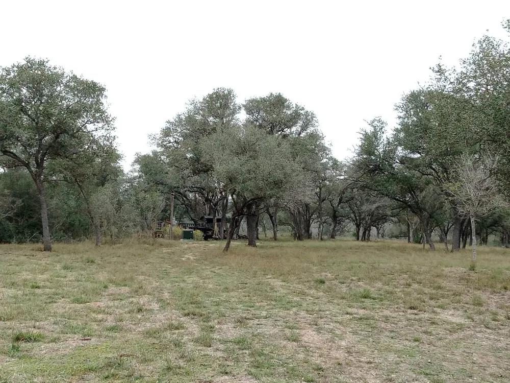 251 Lefty Lane Lane Goliad, TX 77963