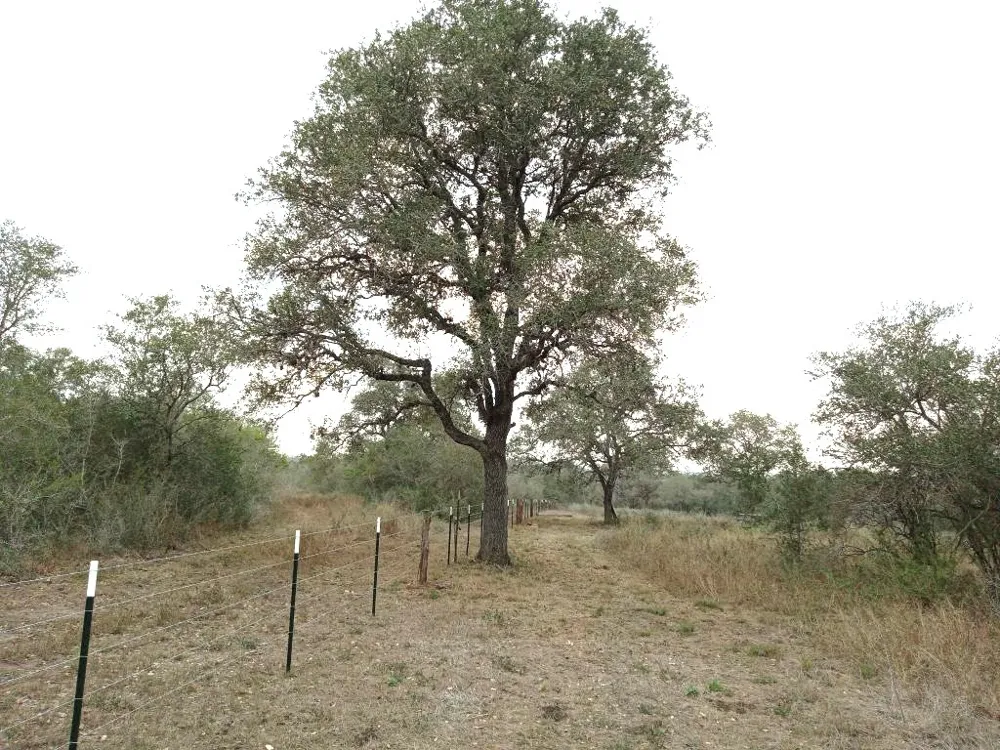 251 Lefty Lane Lane Goliad, TX 77963