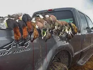 Camp Creek Road Temple, TX 76501