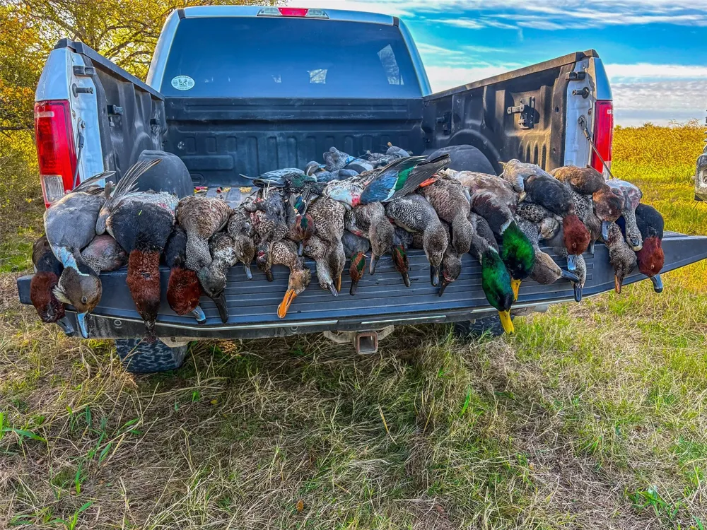 Camp Creek Road Temple, TX 76501