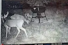 Camp Creek Road Temple, TX 76501