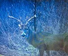 Camp Creek Road Temple, TX 76501