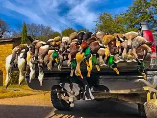 Camp Creek Rd Temple, TX 76501