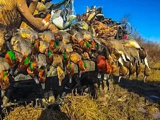 Camp Creek Rd Temple, TX 76501