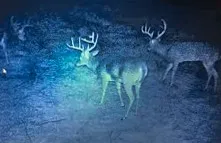 Camp Creek Rd Temple, TX 76501