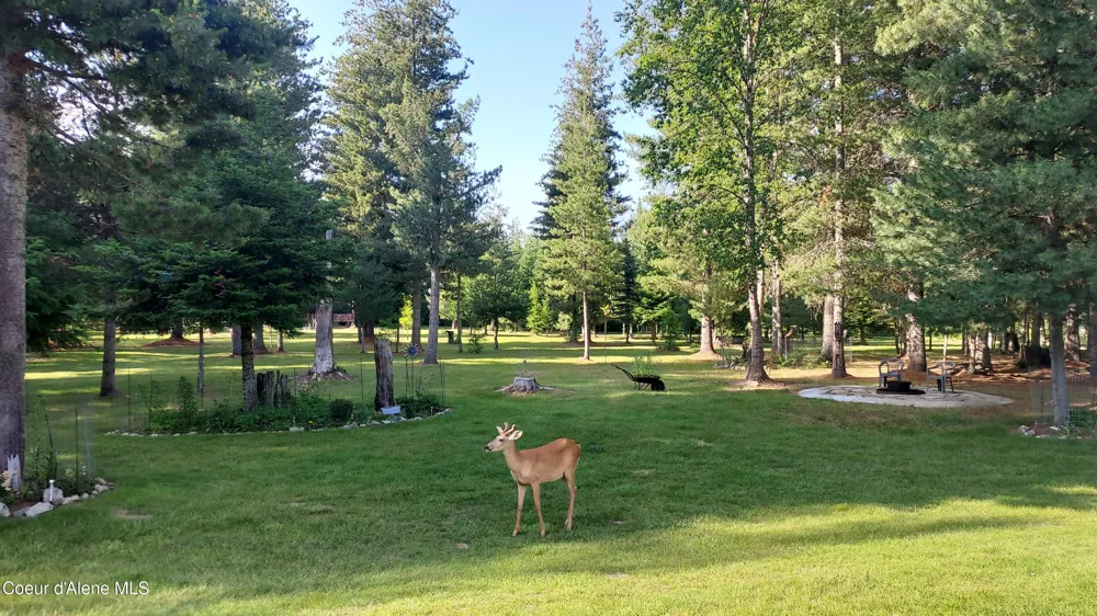 249 Indigo Sky Road Sandpoint, ID 83864