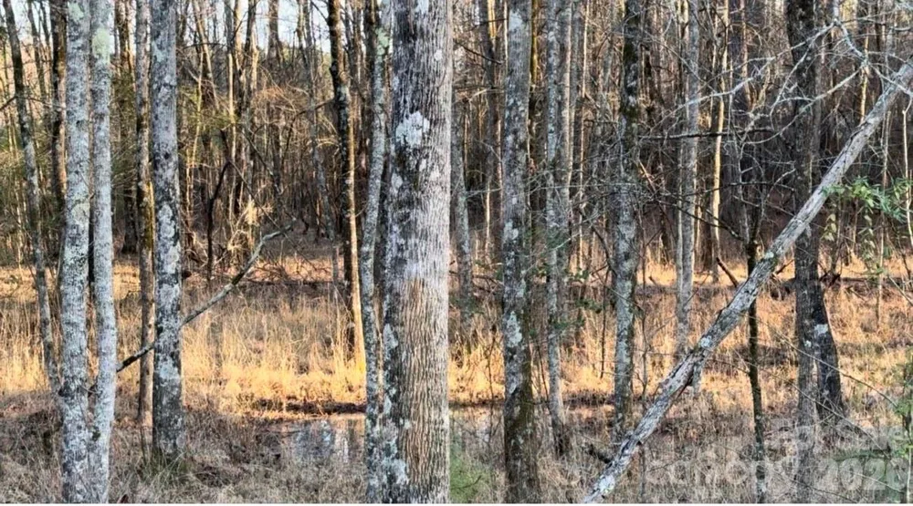 8066 Gulf Creek Road Lancaster, SC 29720