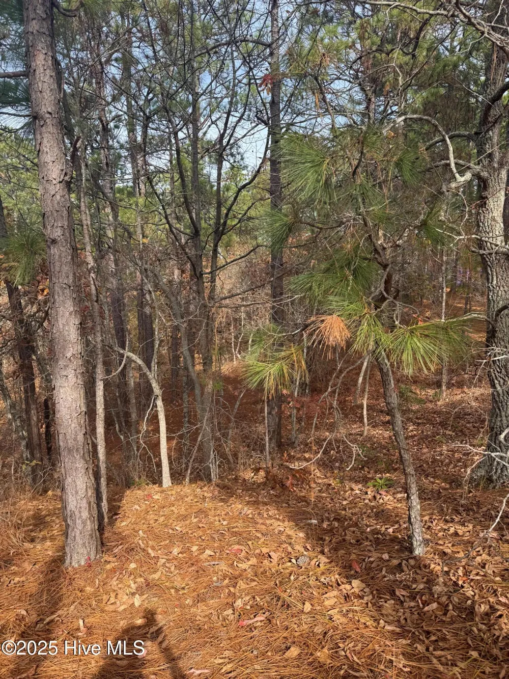 106 Parker Court West End, NC 27376