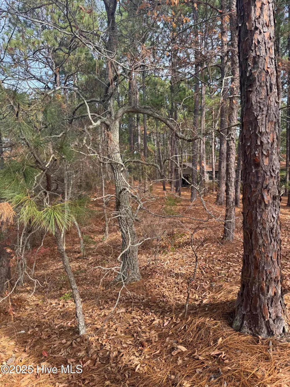 106 Parker Court West End, NC 27376