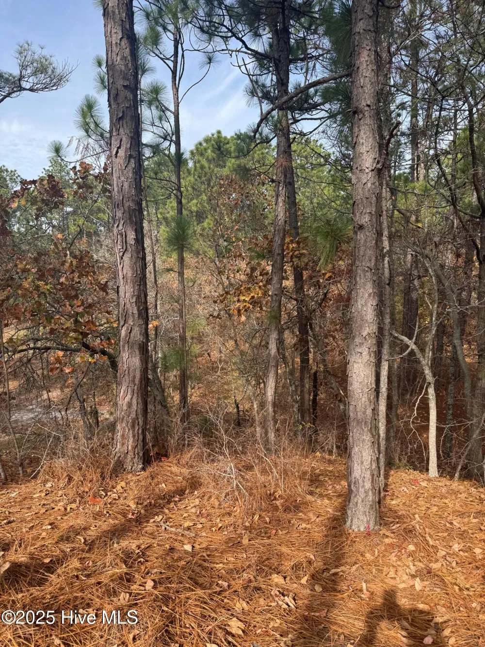 106 Parker Court West End, NC 27376