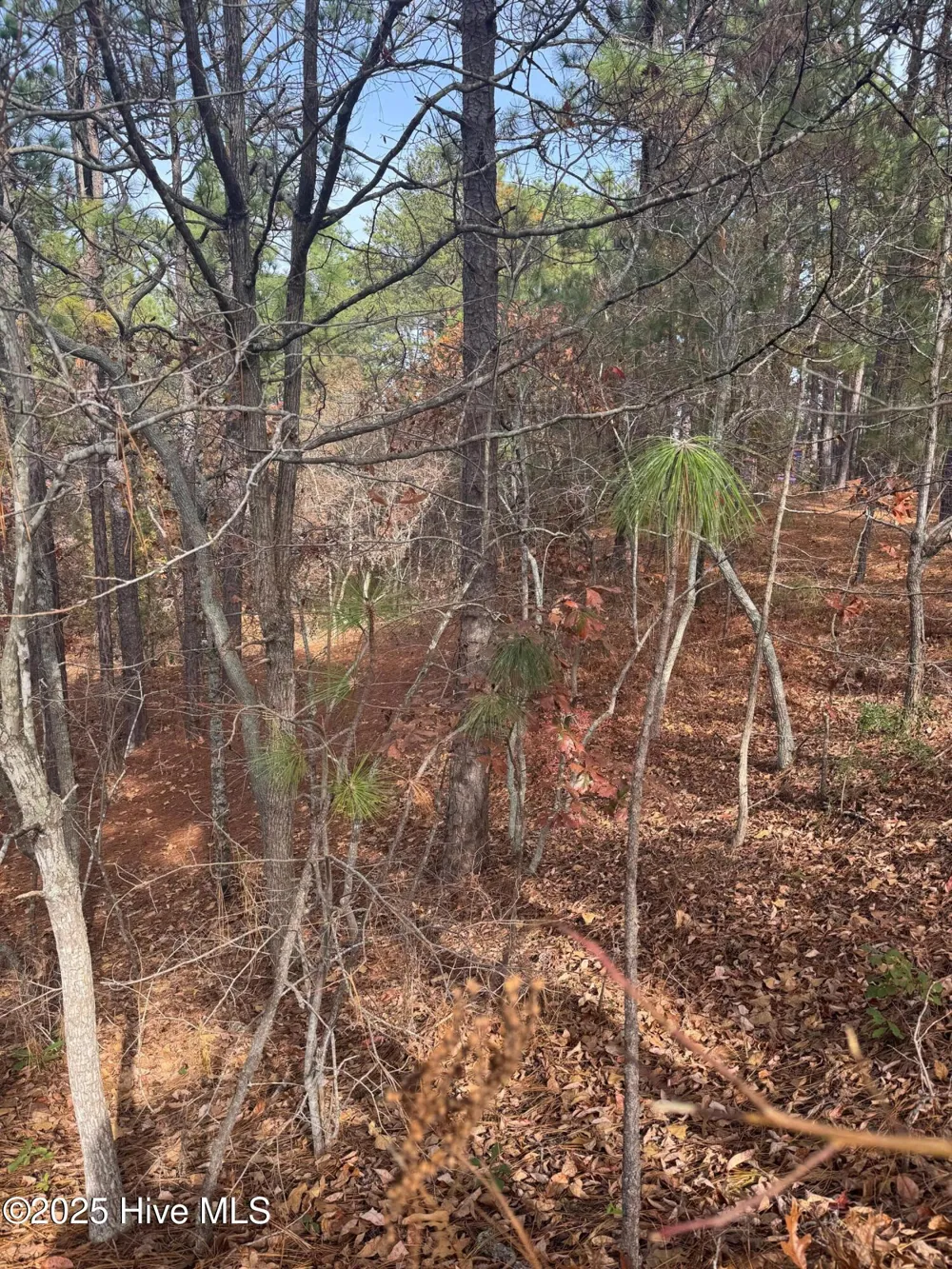 106 Parker Court West End, NC 27376