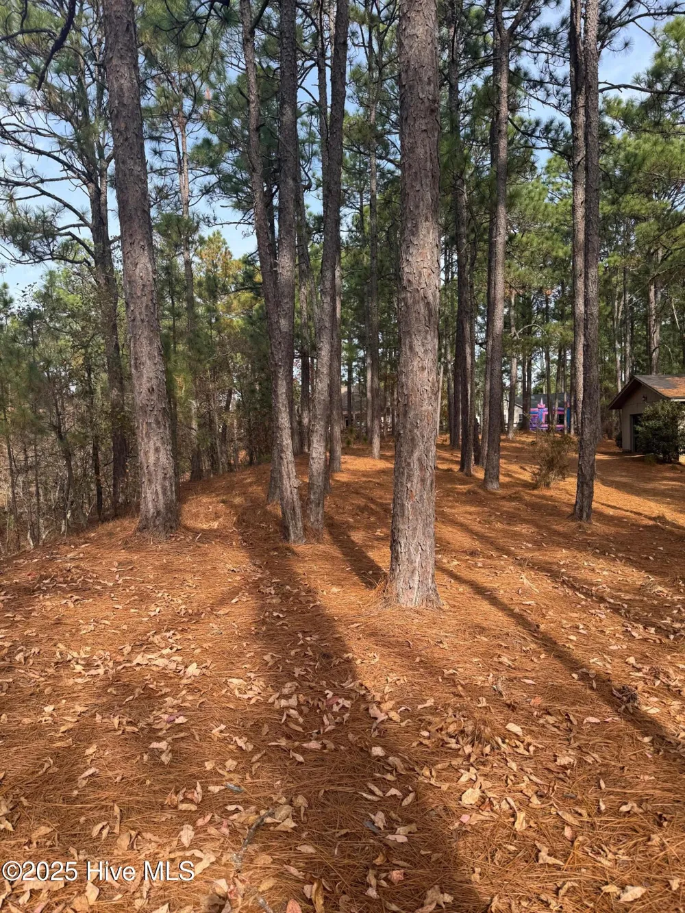 106 Parker Court West End, NC 27376