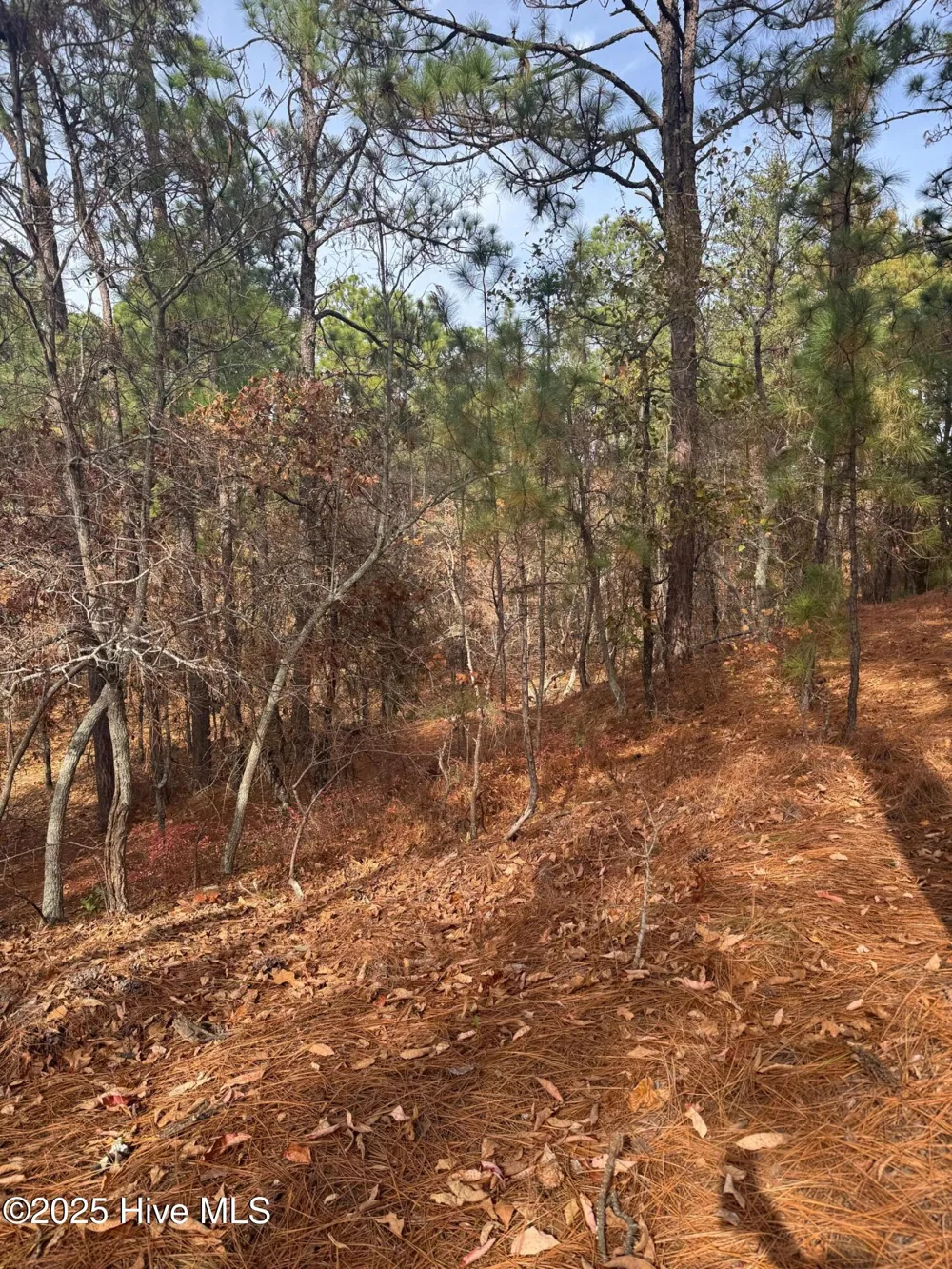 106 Parker Court West End, NC 27376