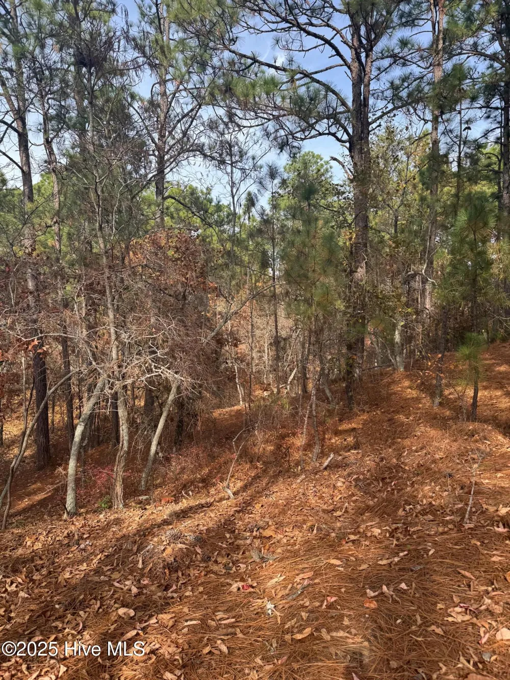 106 Parker Court West End, NC 27376