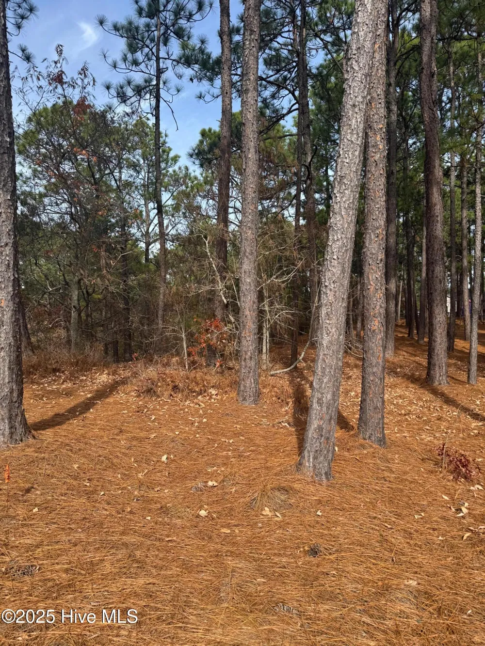 106 Parker Court West End, NC 27376