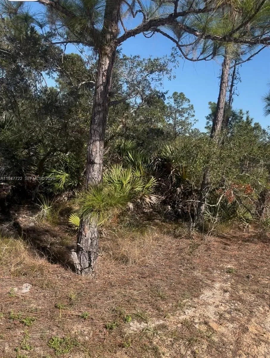 1846 NOLANA AVE Sebring, FL 33875
