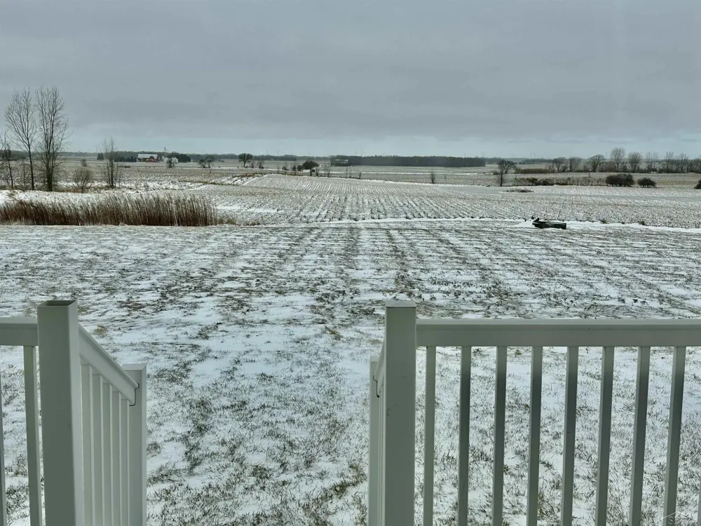 2649 Colwood Road Almer Township, MI 48723