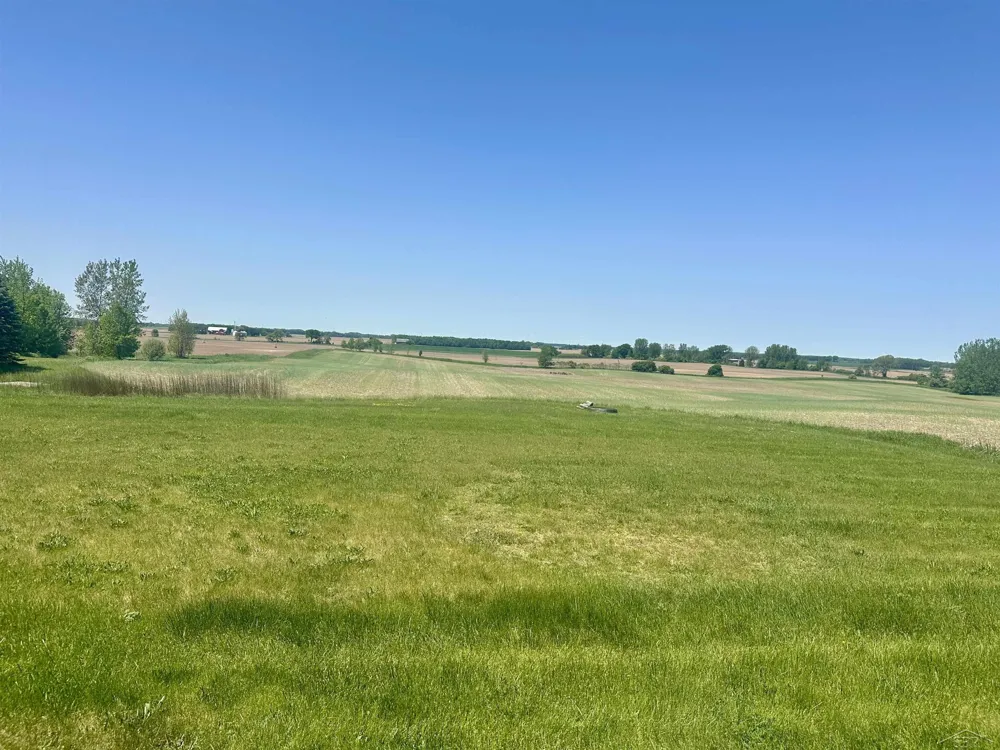 2649 Colwood Road Almer Township, MI 48723