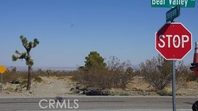 BEAR VALLEY ROAD Pinon Hills, CA 92372