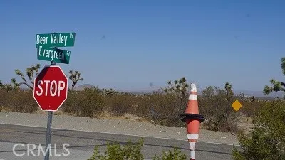 BEAR VALLEY ROAD